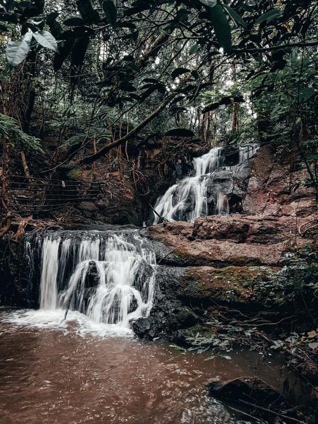 Things To Do In Nairobi- visit Karura Forest